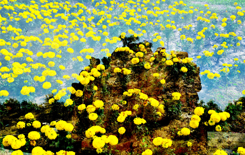 DSC_ʢɭ-¶֮ƻ֪--9903_.jpg