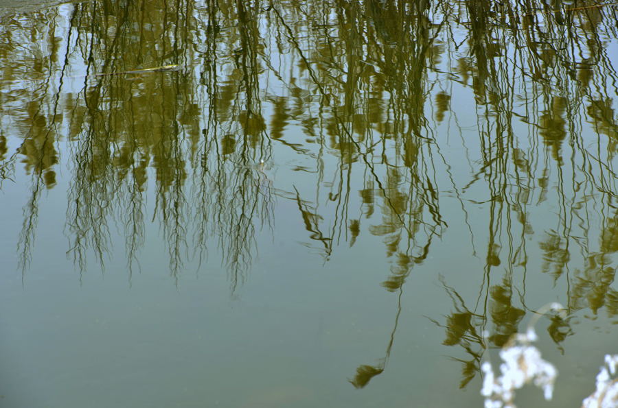_DSC0065.jpg