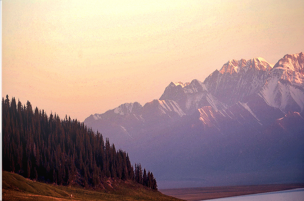 DSC_2262-1.jpg