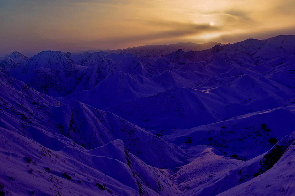 DSC_0180-1.jpg