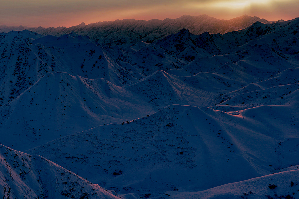 DSC_0183-1.jpg