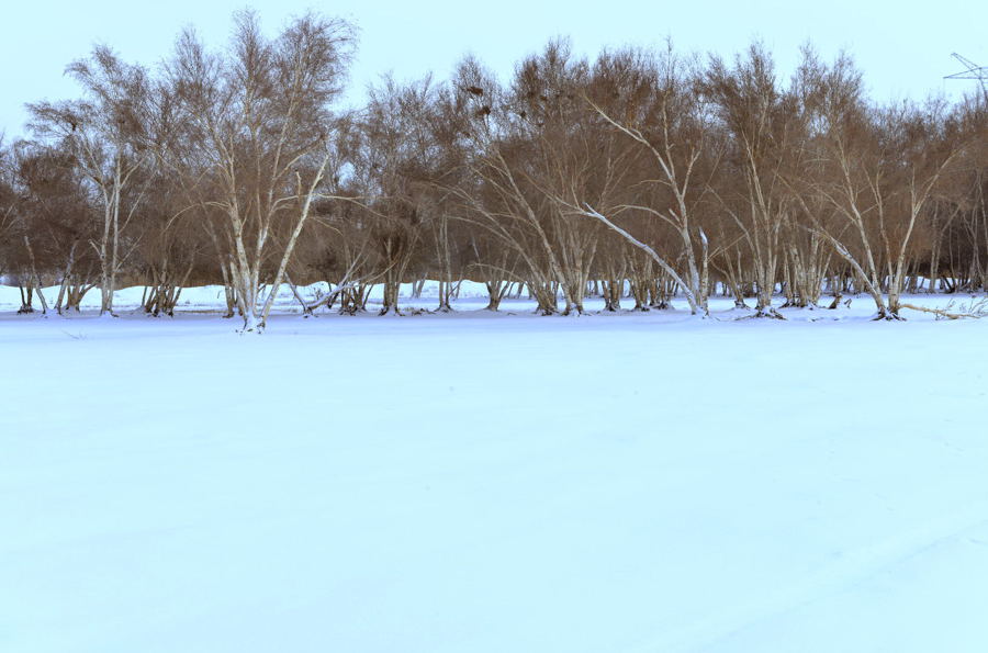 _DSC0191.jpg