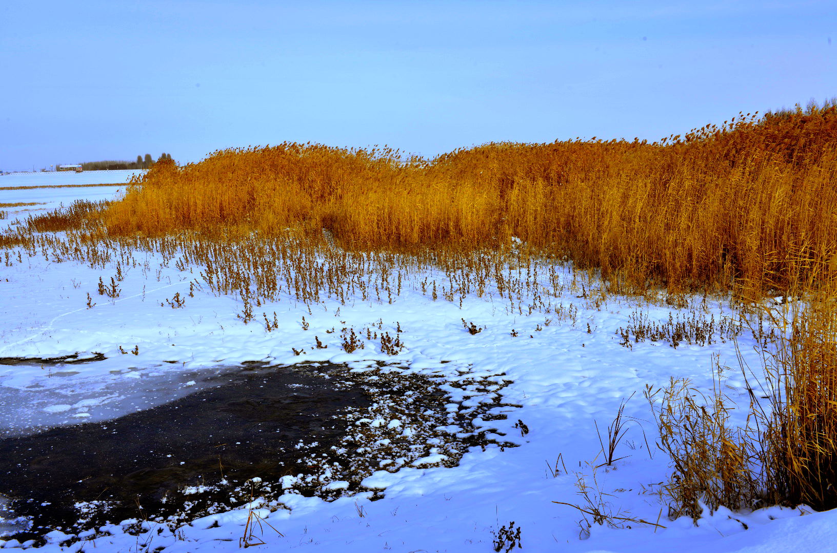 _DSC0248.jpg