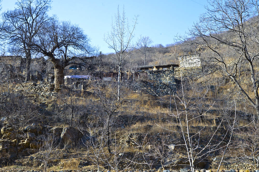 _LMZ4759.jpg