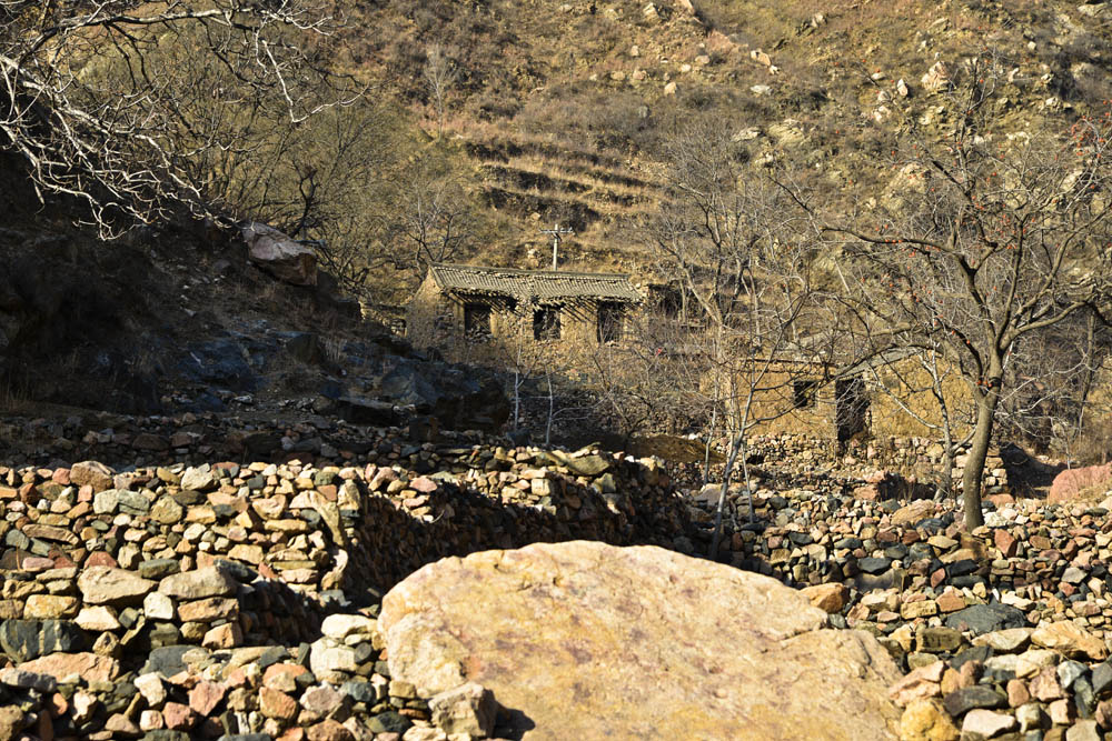 _LMZ4649.jpg
