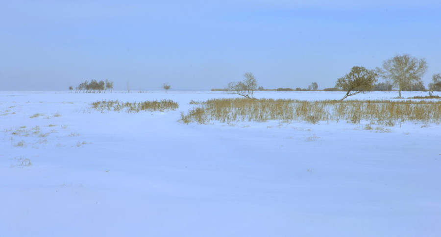 _DSC0105.jpg