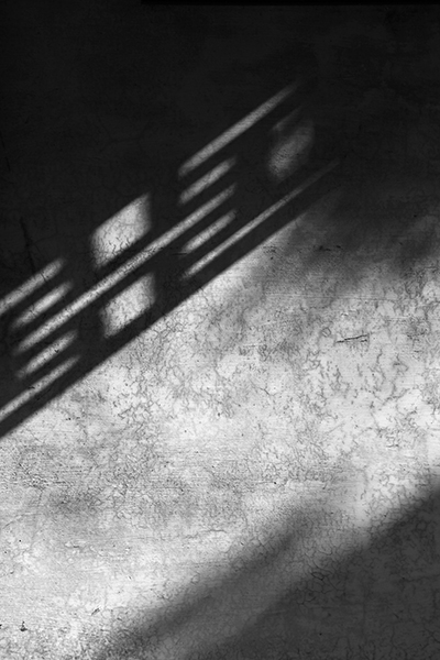 _MG_5064A.jpg