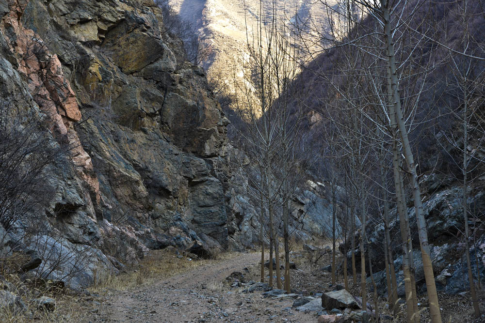 _LMZ4667.jpg