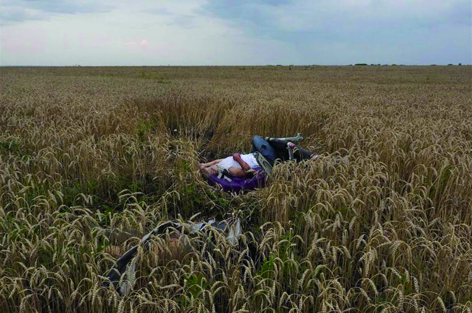 717գMH17ͻڿ׹١ͼλܺڱ紵Ȼ.jpg