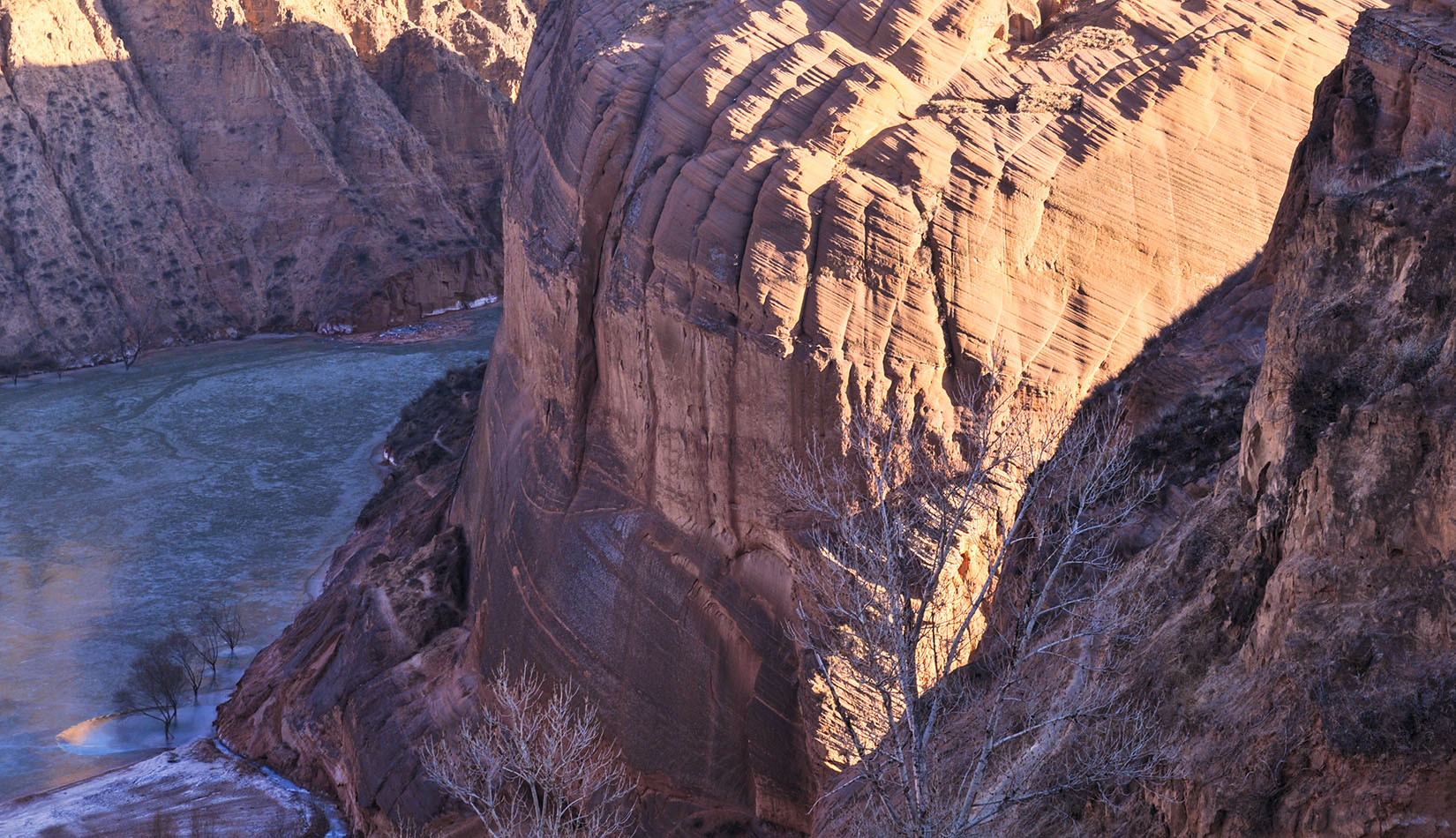 _DSC5086.jpg
