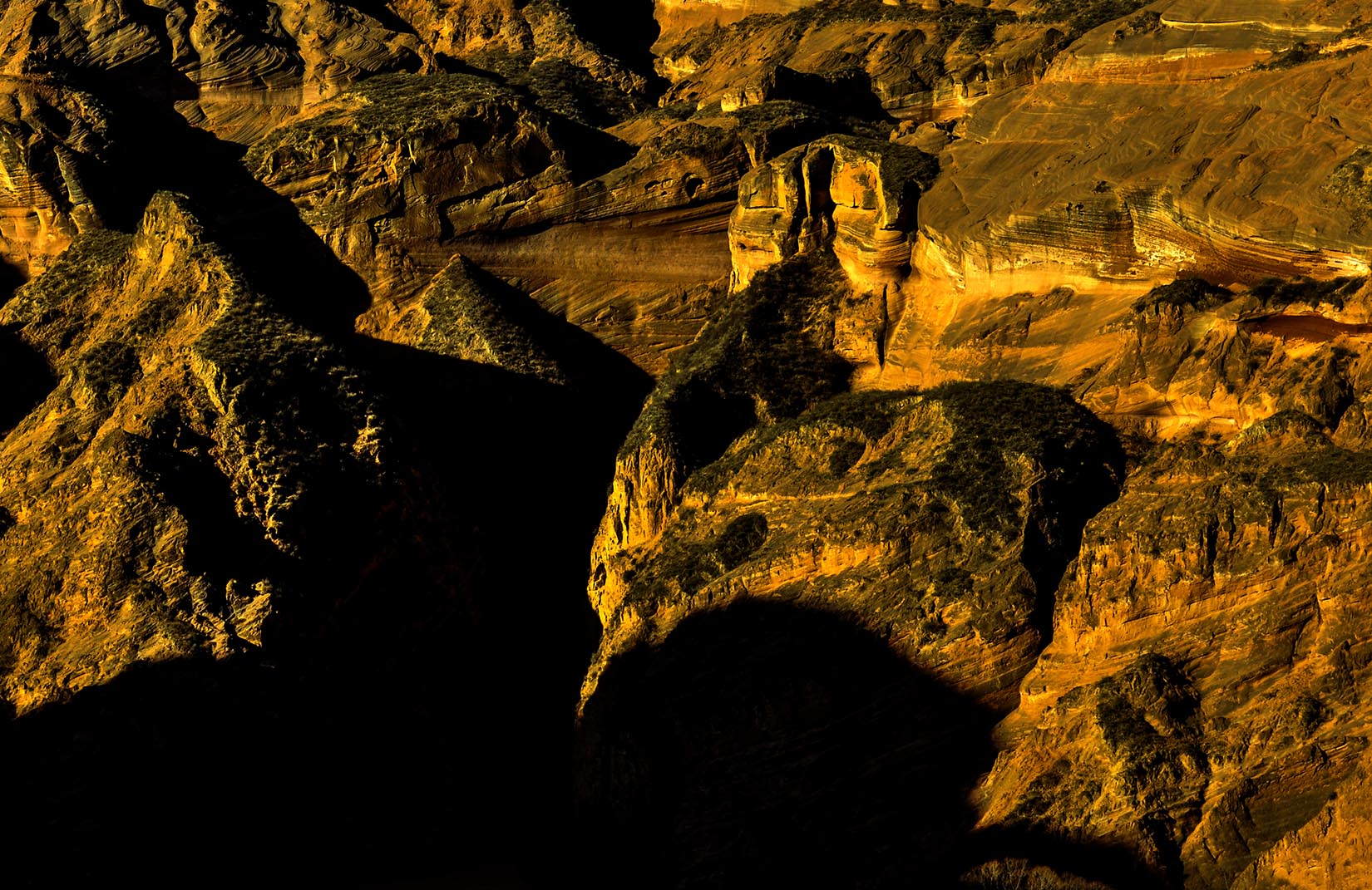 _DSC5102.jpg
