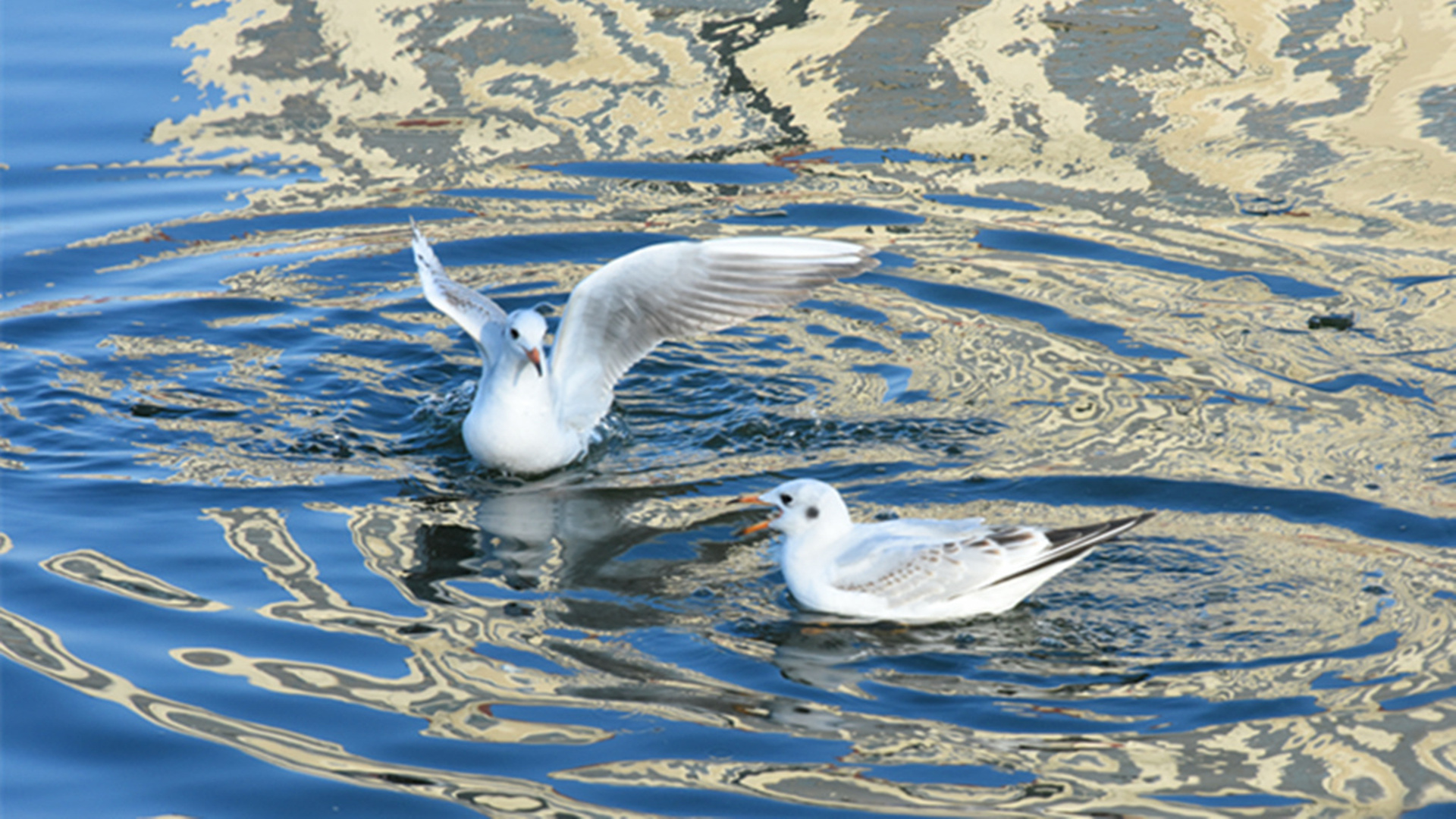 DSC_2642__.jpg