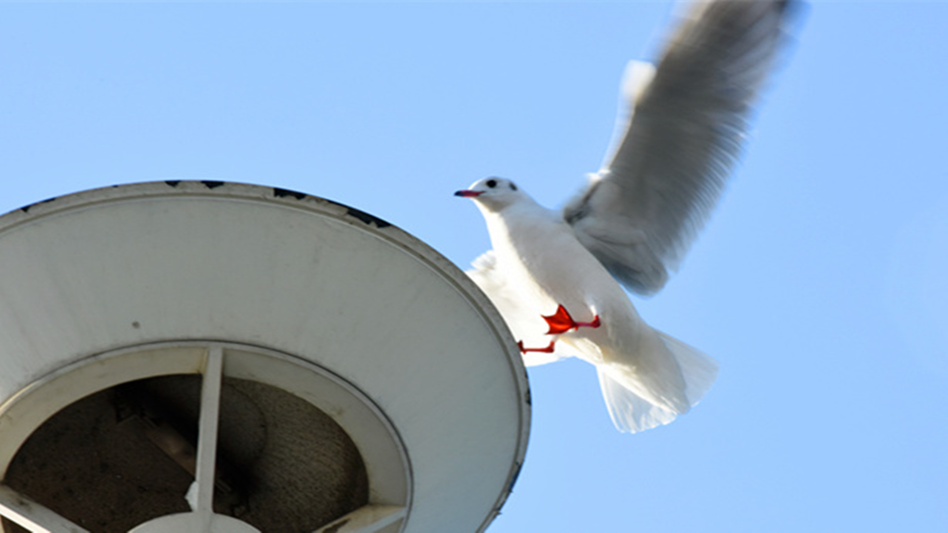 DSC_2861__.jpg
