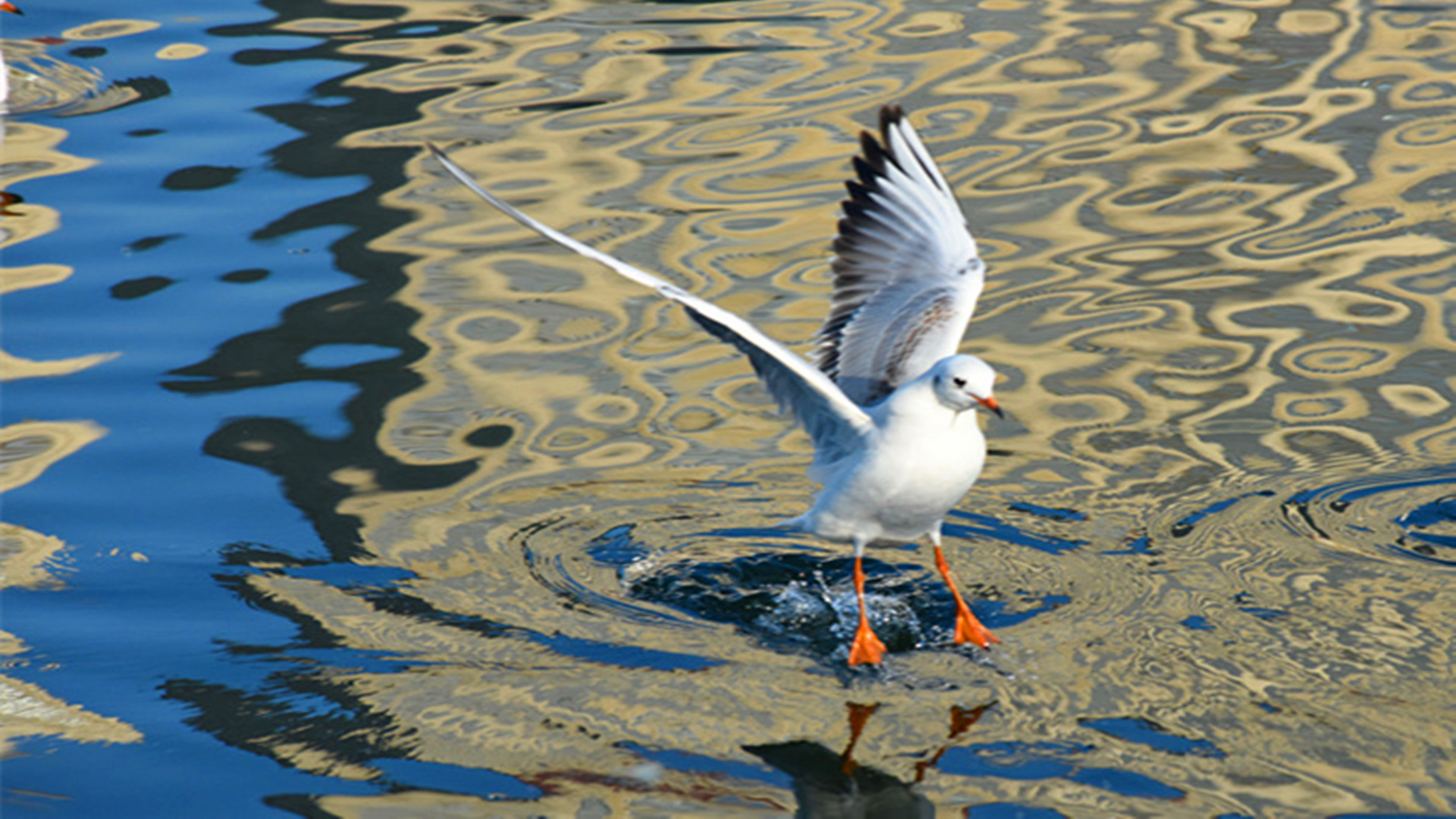 DSC_2998__.jpg