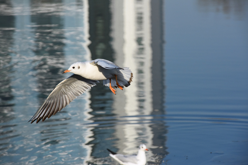 DSC_2979_.jpg