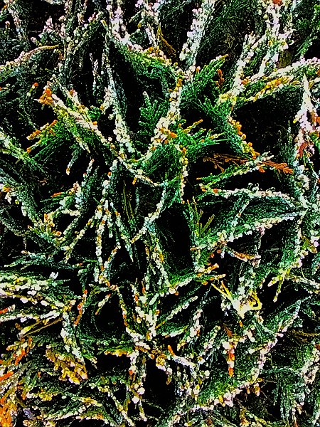 P_20141205_074351_LL.jpg