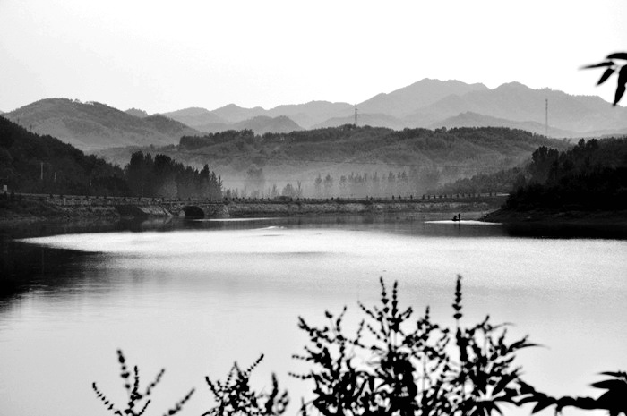 DSC_0113.JPG
