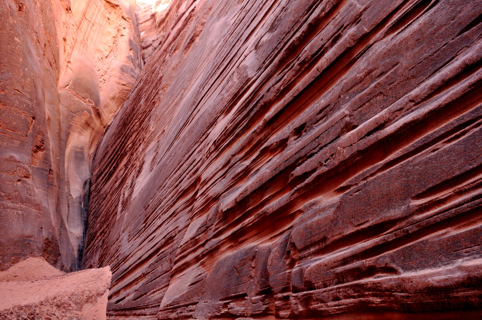 _DSC5213.jpg