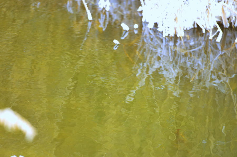 _DSC0064.jpg