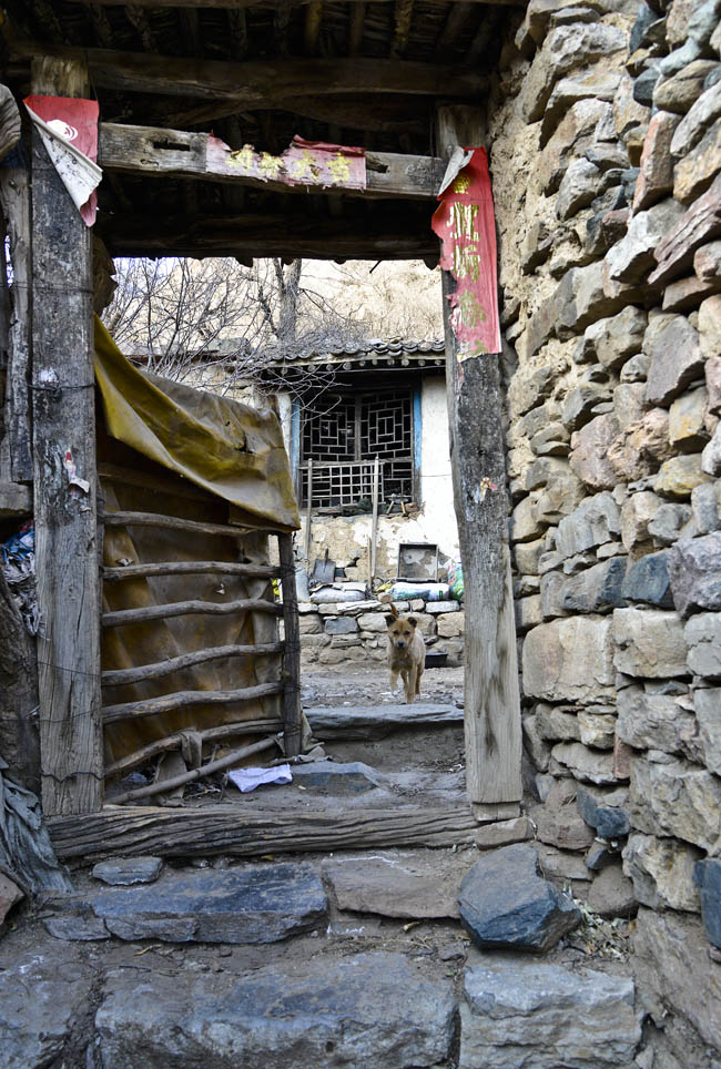 _LMZ4628.jpg