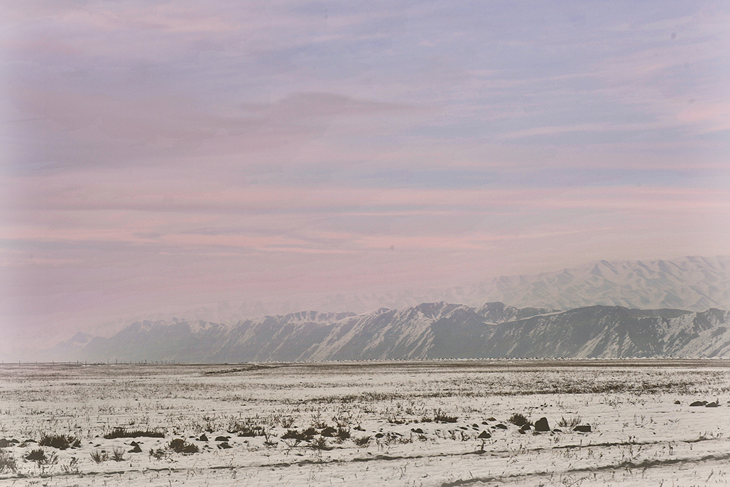 DSC_0119-1.jpg
