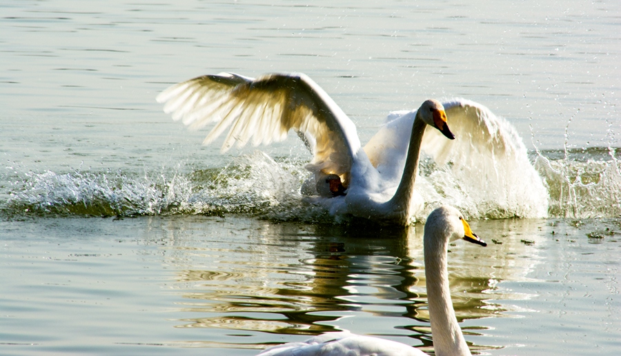 DSC_0023.jpg