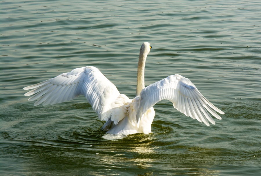 DSC_0029.jpg