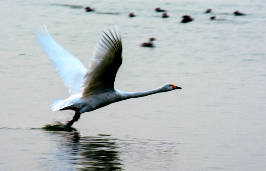 DSC_0157.jpg