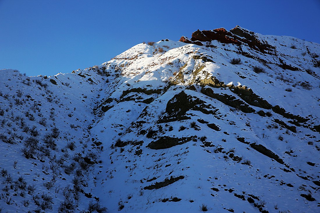 479A4152q.jpg
