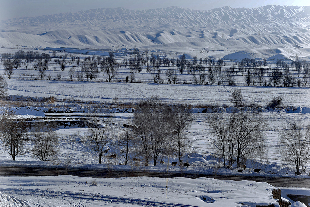 DSC_0481-1.jpg