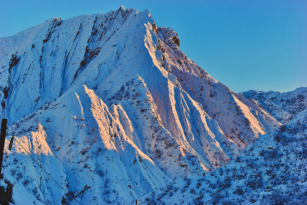 DSC_0548-2.jpg