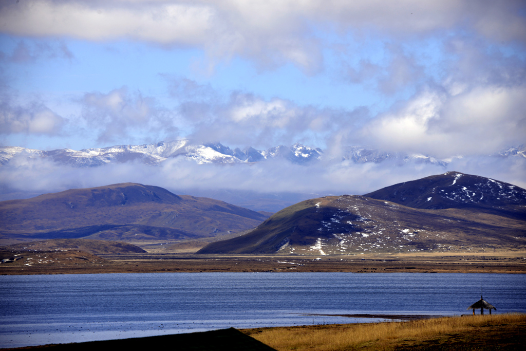 _DSC4613-.jpg