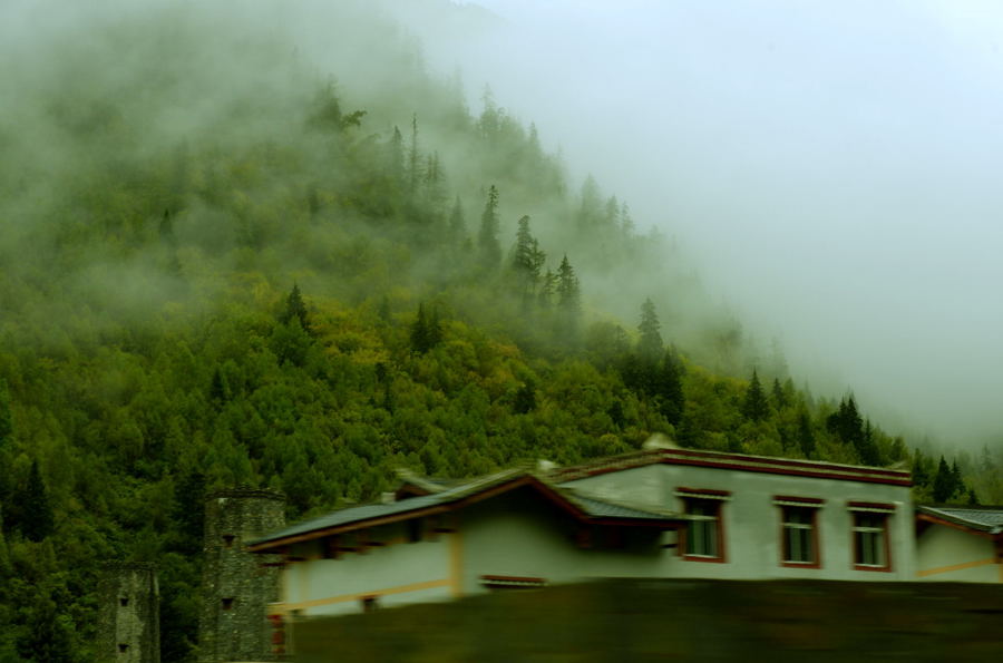 _DSC0035.jpg