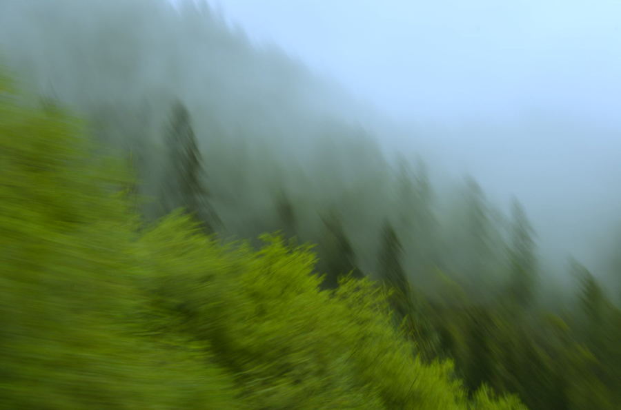 _DSC0045.jpg