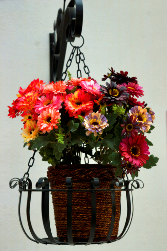DSC02297.СƬjpg.jpg