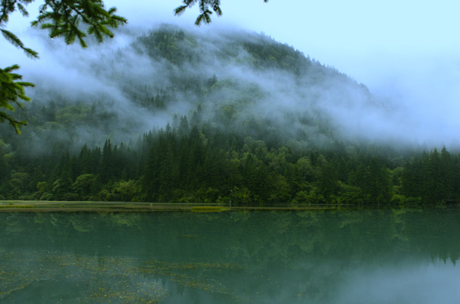 _DSC0078.jpg