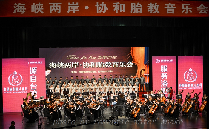 DSC_4223.jpg