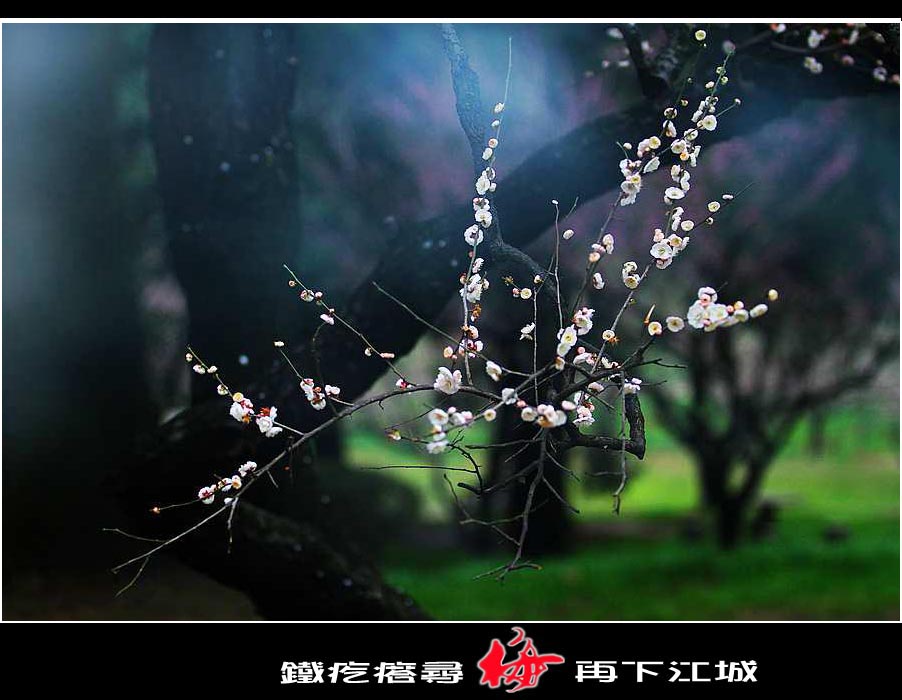 ޱ-2_conew7.jpg