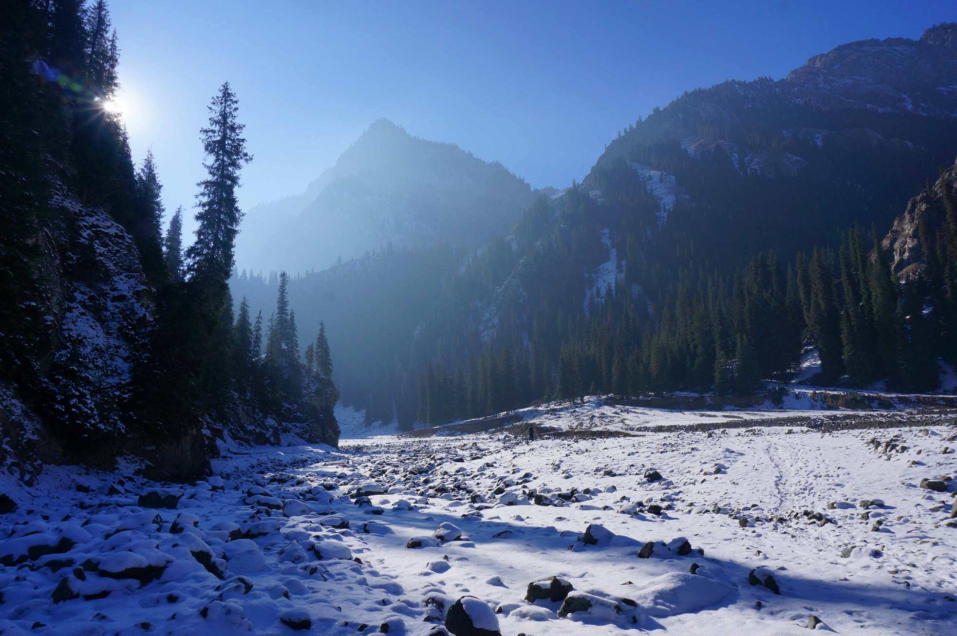 DSC01324 _.jpg