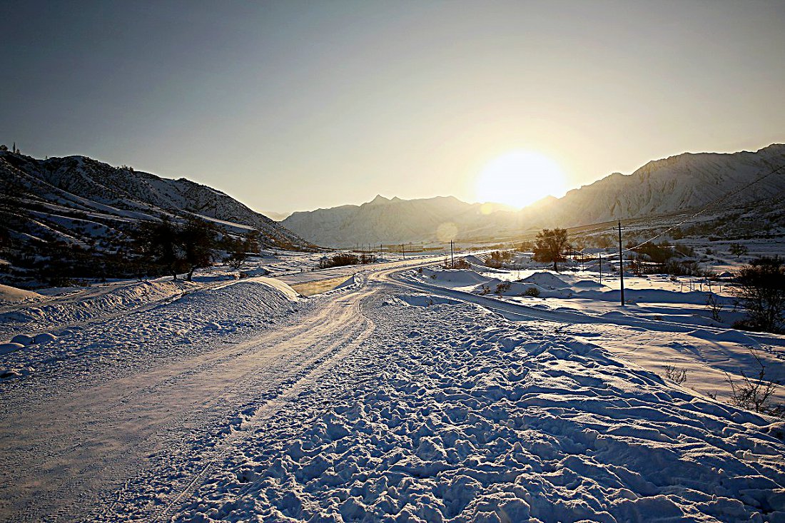 479A4240qW.jpg