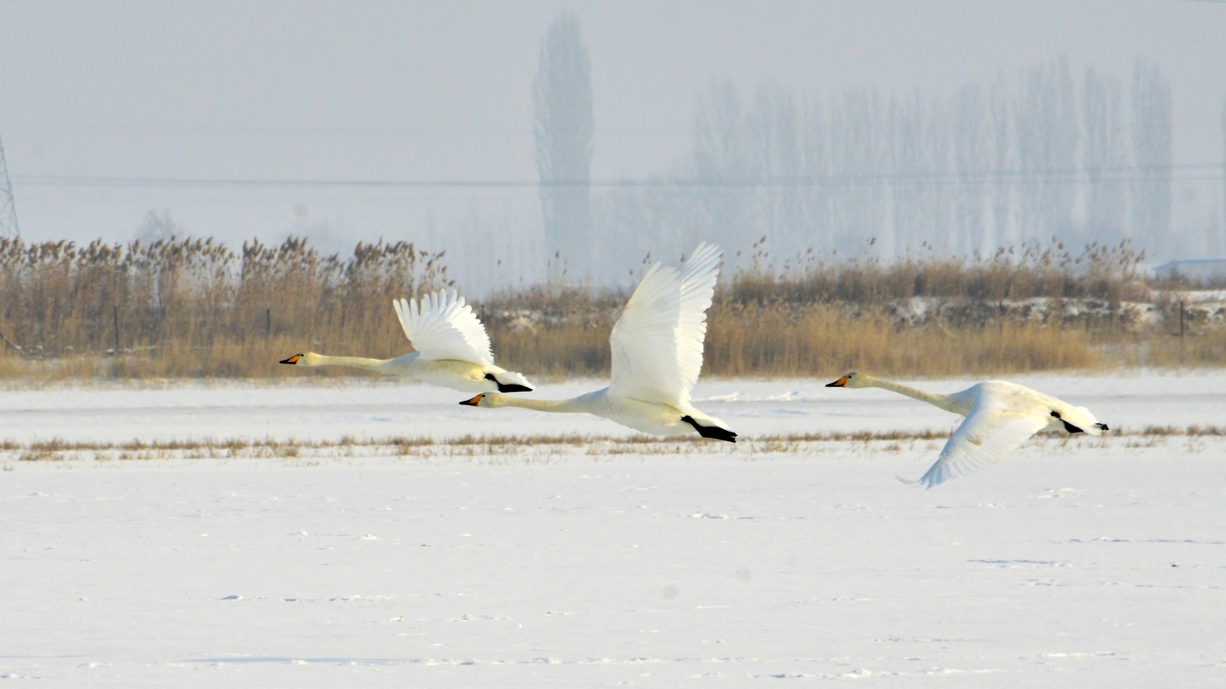 nEO_IMG__DSC0159.jpg
