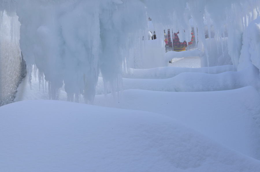_DSC0073.jpg