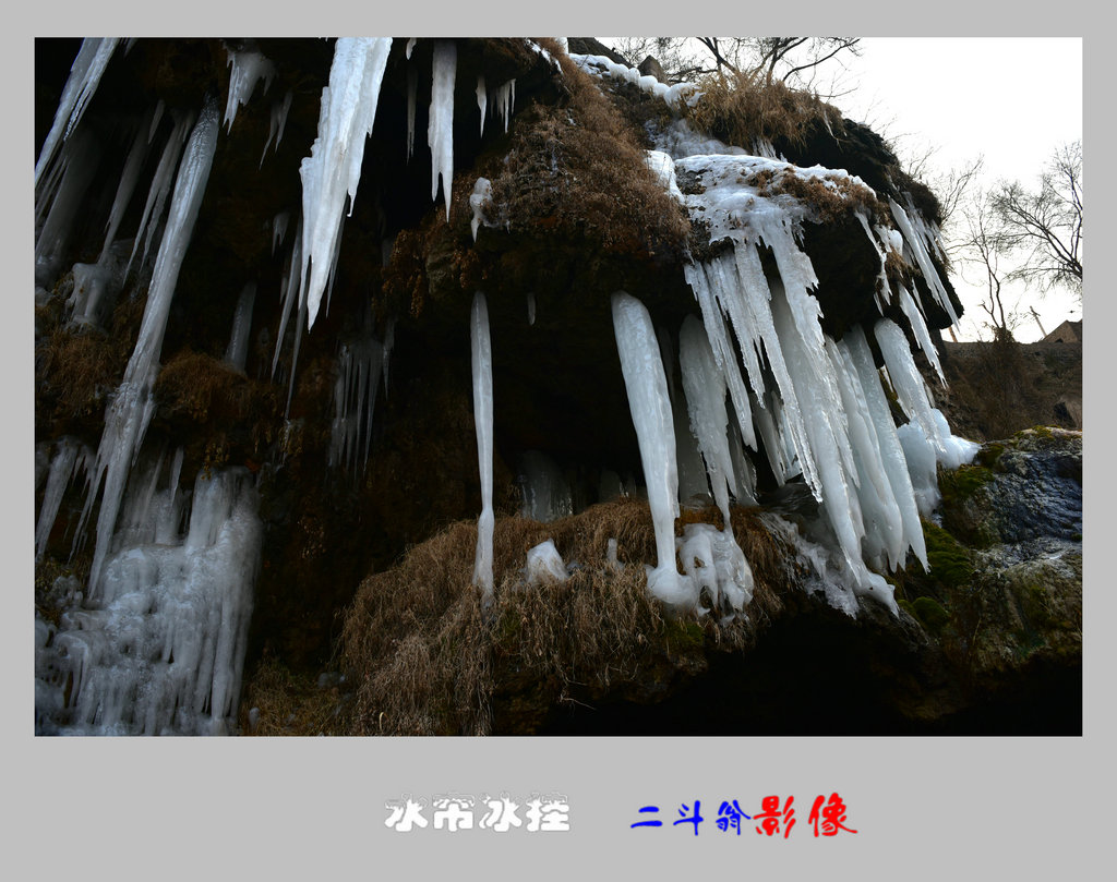 DSC_0353_.JPG