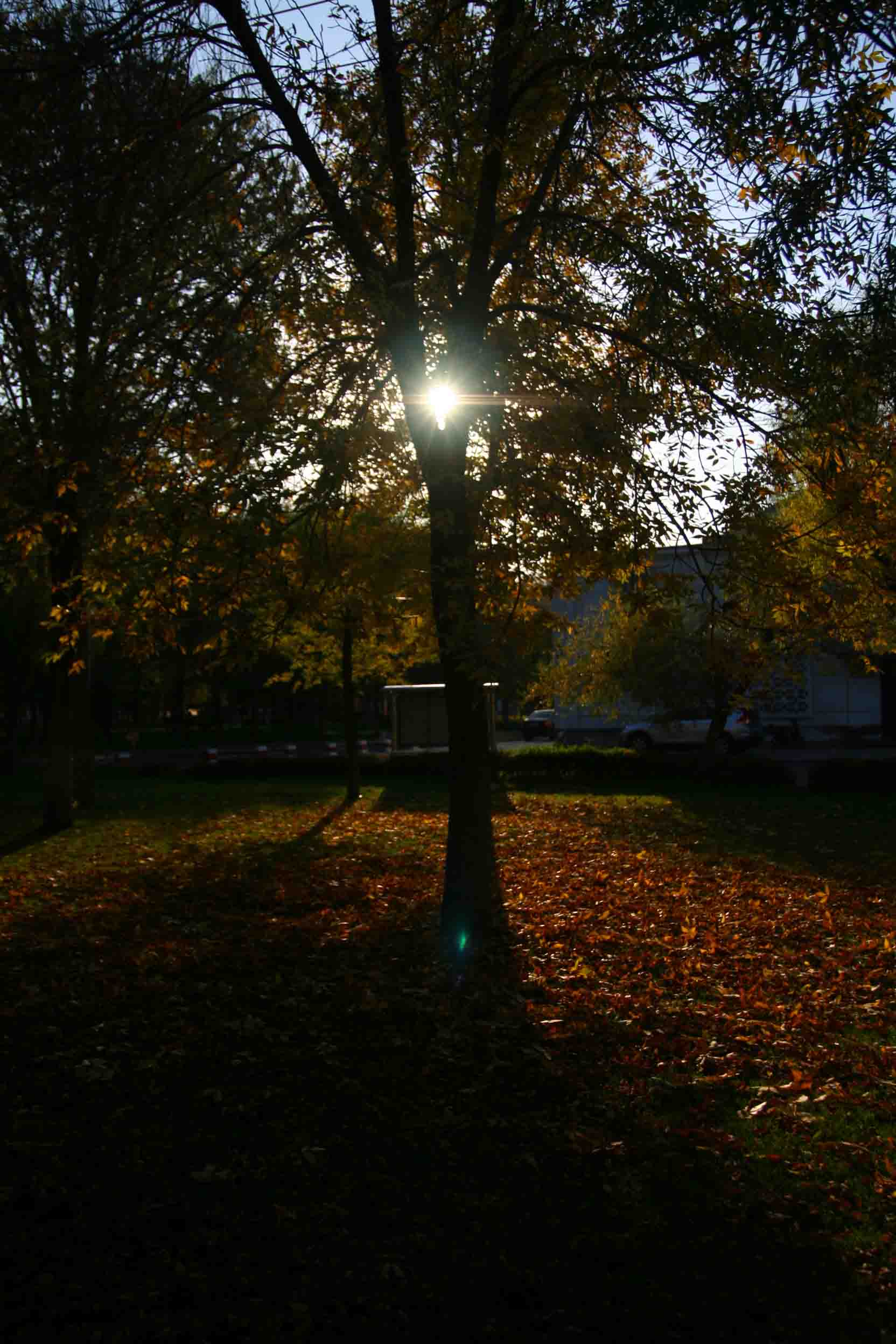 IMG_1164 .jpg