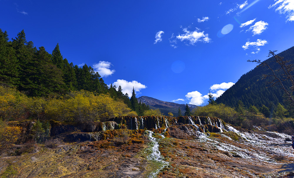 DSC_9264.JPG