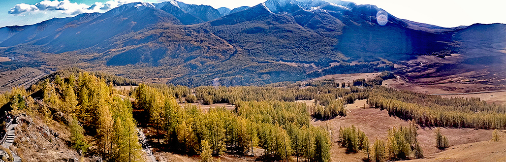 DSC02458-1.jpg