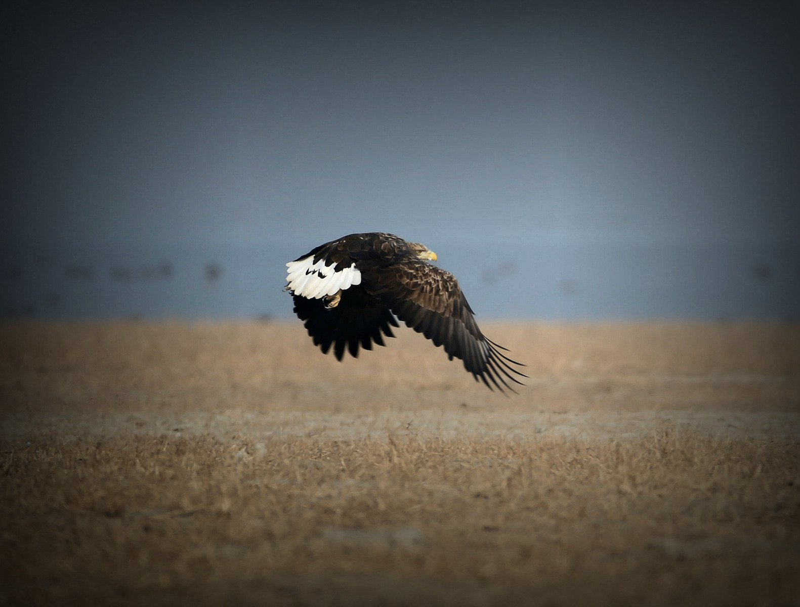 2014_11_22_IMG_β 2.jpg