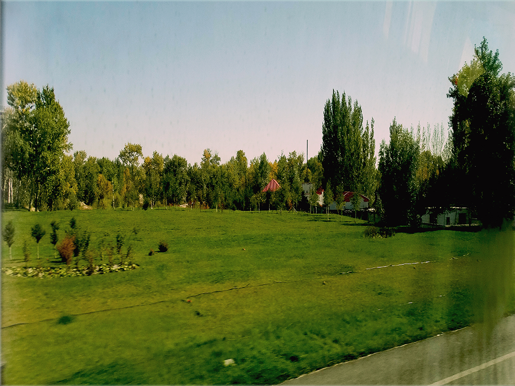 DSC02559-1.jpg
