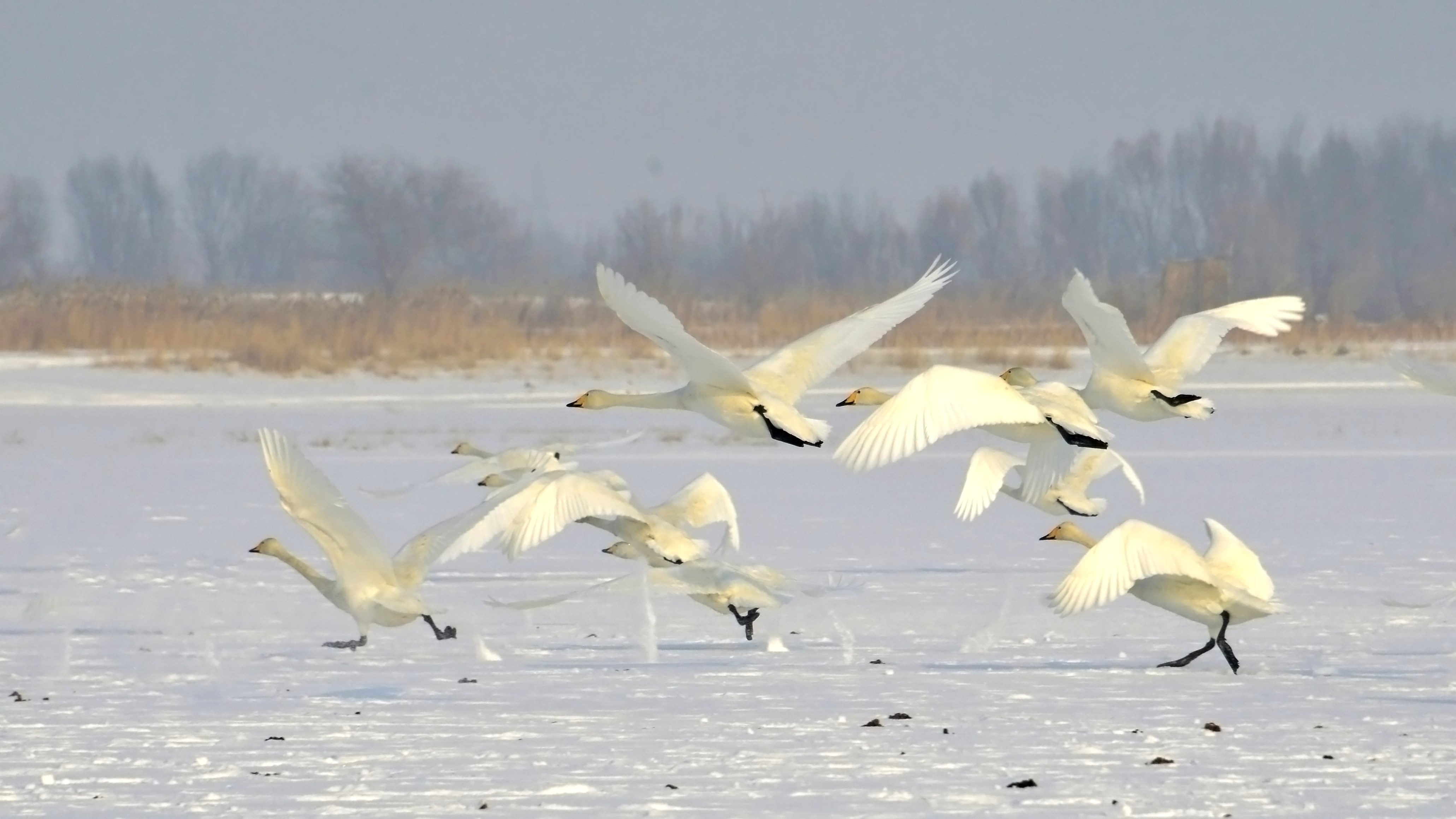 _DSC0091.JPG
