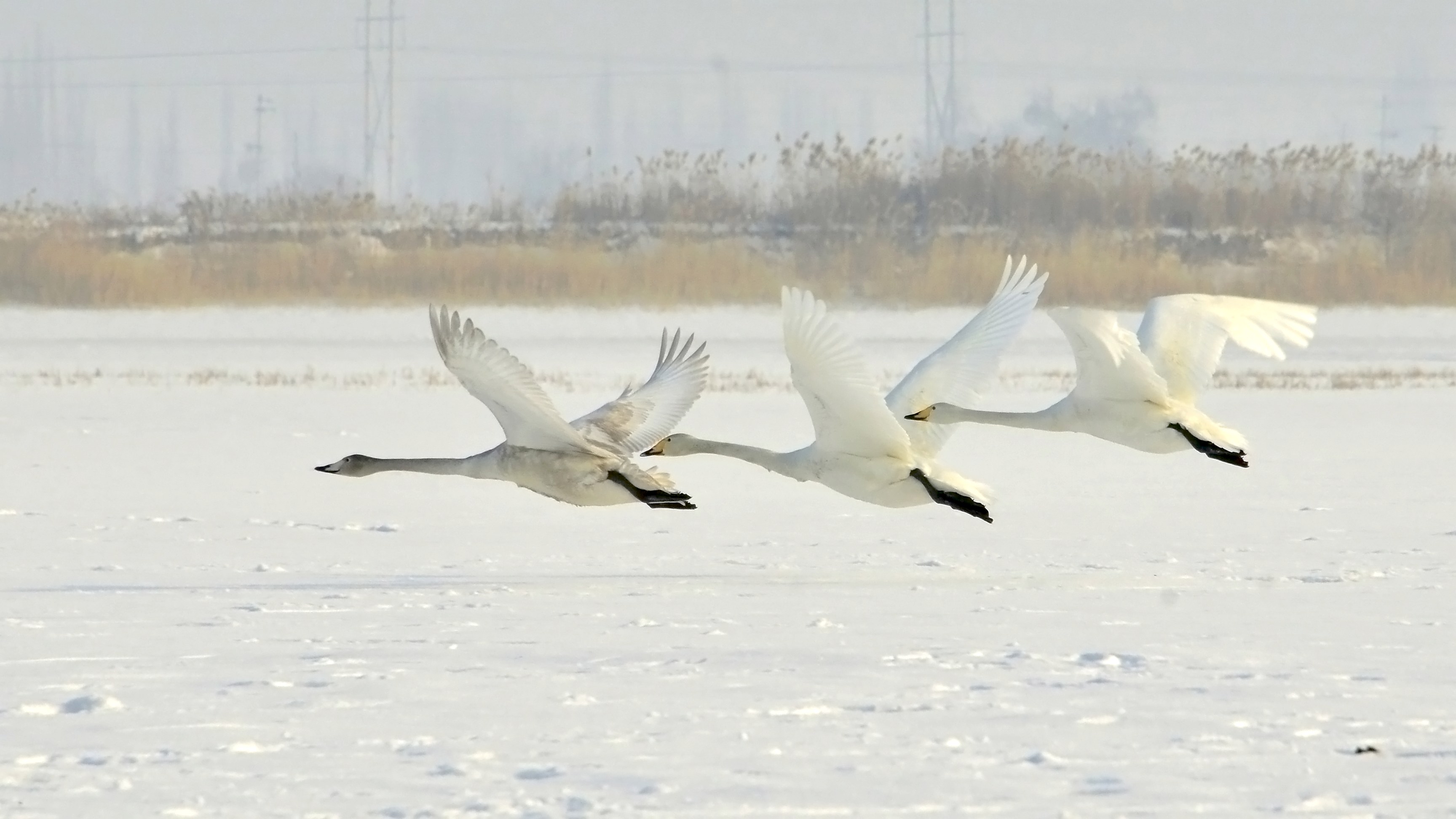 _DSC0180.JPG